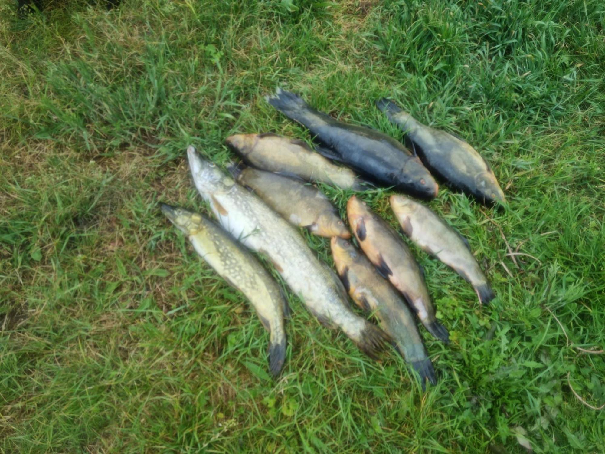 Eko-Fish Villa Miastko Eksteriør billede