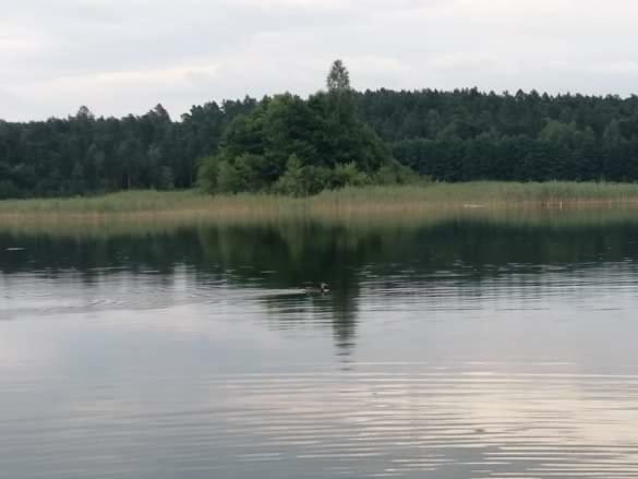 Eko-Fish Villa Miastko Eksteriør billede