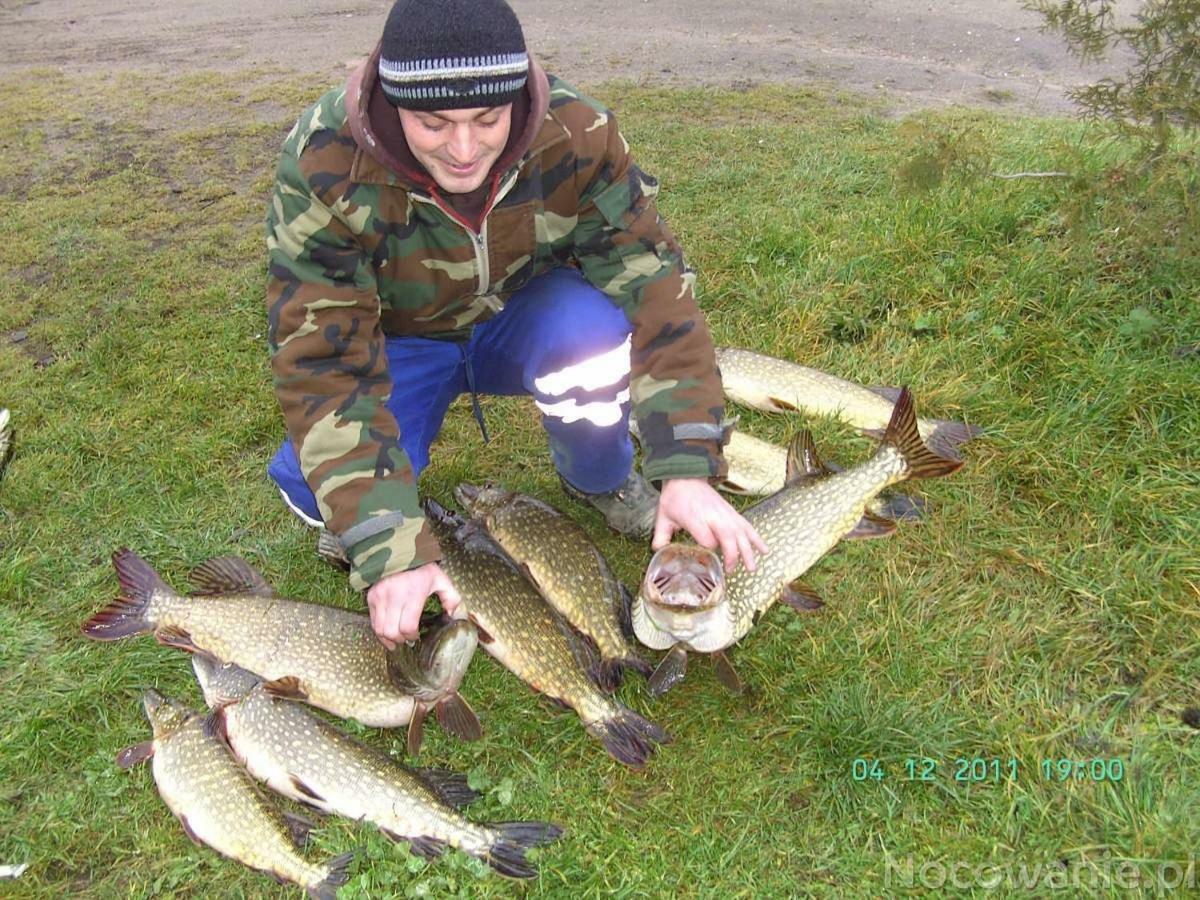 Eko-Fish Villa Miastko Eksteriør billede