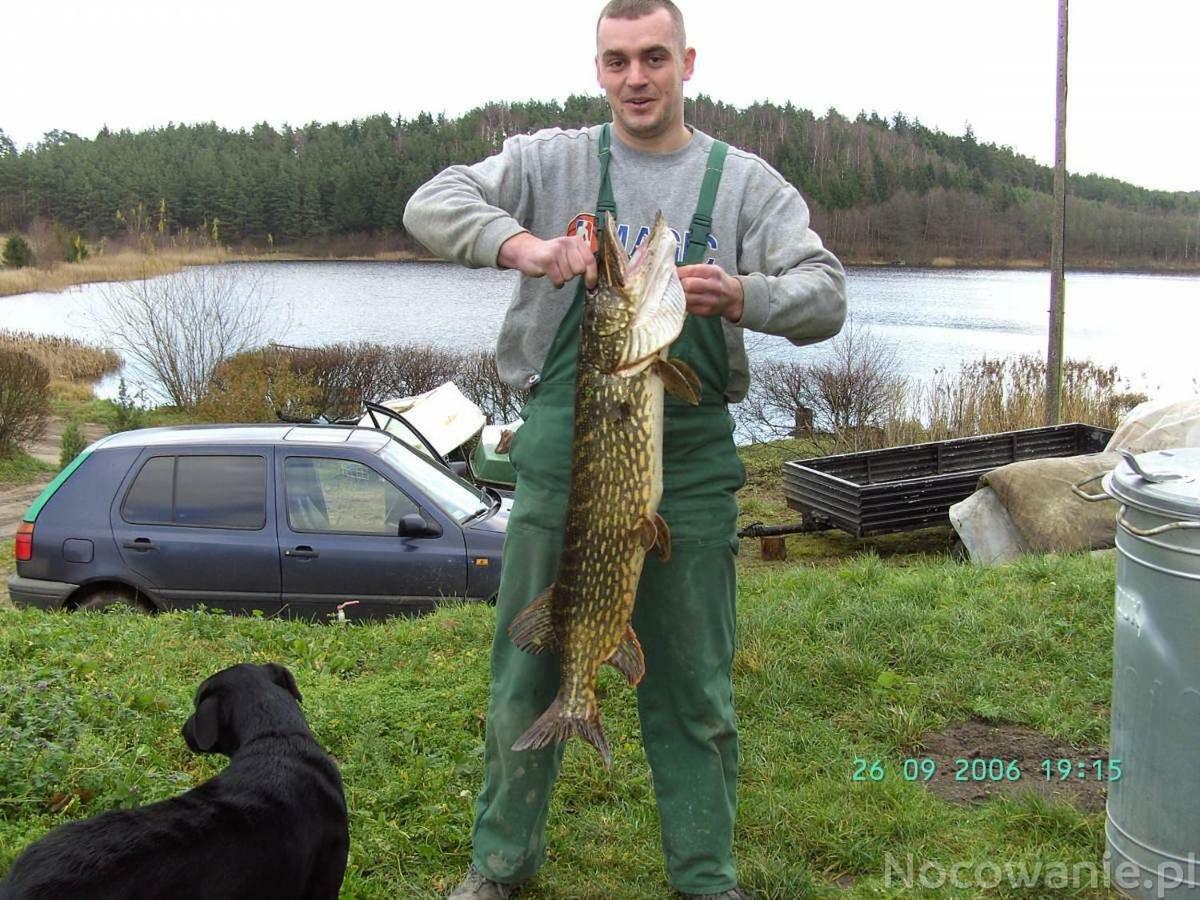 Eko-Fish Villa Miastko Eksteriør billede